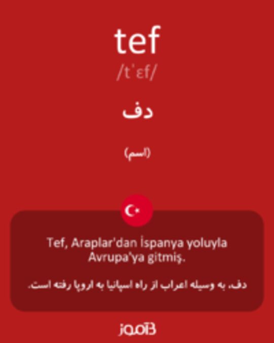  تصویر tef - دیکشنری انگلیسی بیاموز