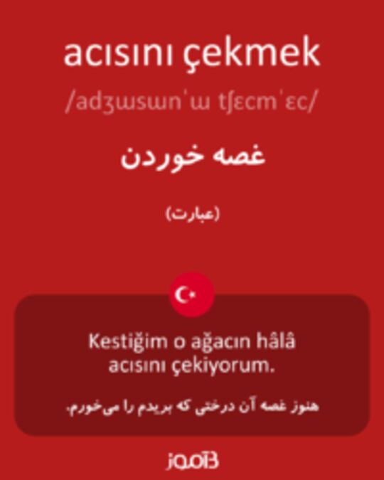  تصویر acısını çekmek - دیکشنری انگلیسی بیاموز