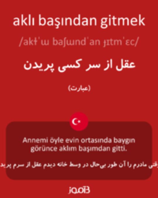  تصویر aklı başından gitmek - دیکشنری انگلیسی بیاموز