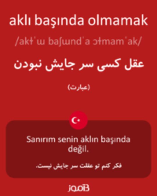  تصویر aklı başında olmamak - دیکشنری انگلیسی بیاموز