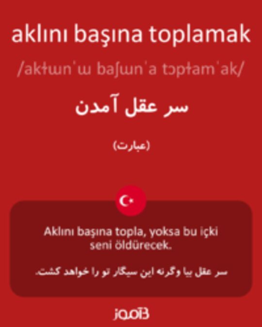  تصویر aklını başına toplamak - دیکشنری انگلیسی بیاموز