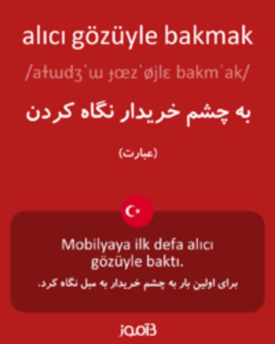  تصویر alıcı gözüyle bakmak - دیکشنری انگلیسی بیاموز