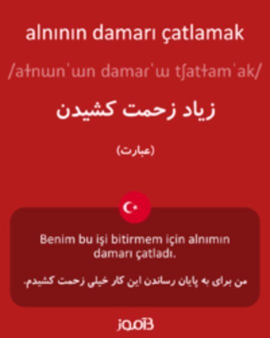  تصویر alnının damarı çatlamak - دیکشنری انگلیسی بیاموز