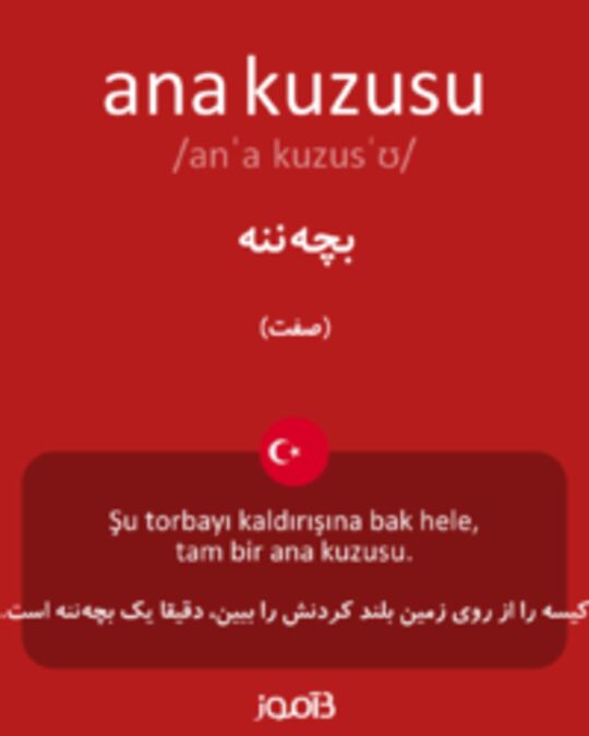  تصویر ana kuzusu - دیکشنری انگلیسی بیاموز