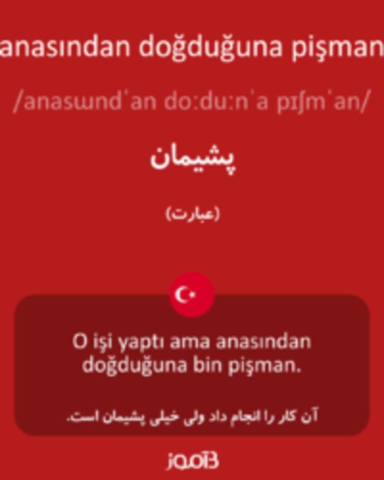  تصویر anasından doğduğuna pişman - دیکشنری انگلیسی بیاموز