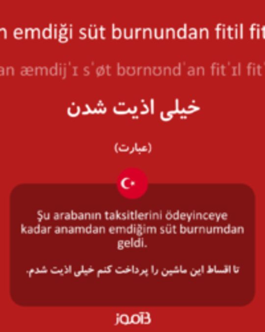  تصویر anasından emdiği süt burnundan fitil fitil gelmek - دیکشنری انگلیسی بیاموز