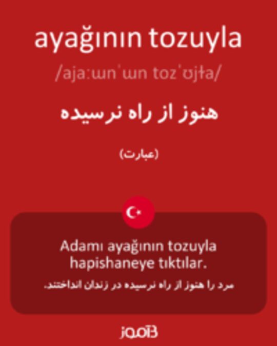  تصویر ayağının tozuyla - دیکشنری انگلیسی بیاموز