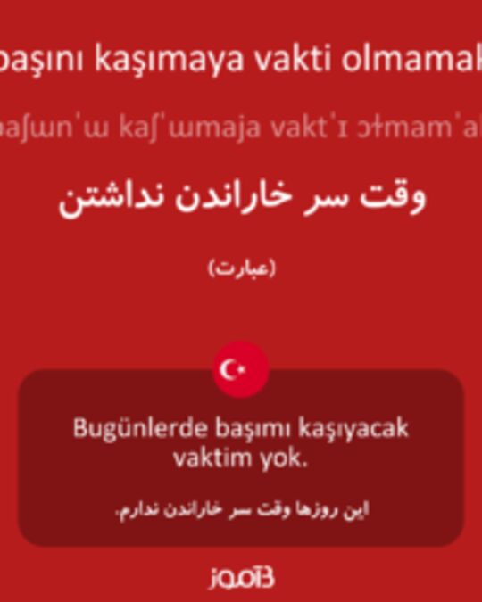  تصویر başını kaşımaya vakti olmamak - دیکشنری انگلیسی بیاموز