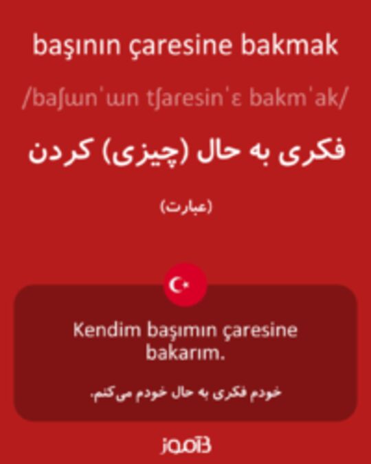  تصویر başının çaresine bakmak - دیکشنری انگلیسی بیاموز