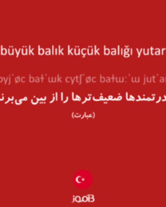  تصویر büyük balık küçük balığı yutar - دیکشنری انگلیسی بیاموز