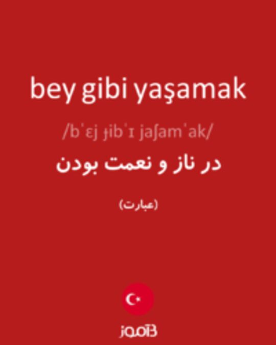  تصویر bey gibi yaşamak - دیکشنری انگلیسی بیاموز