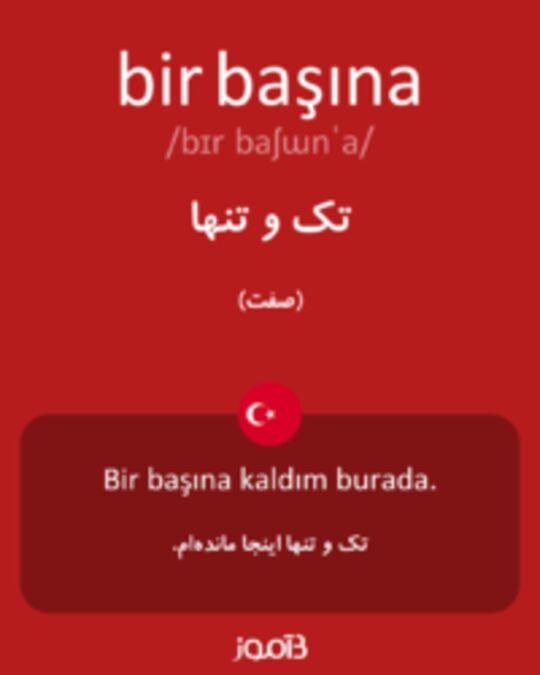  تصویر bir başına - دیکشنری انگلیسی بیاموز