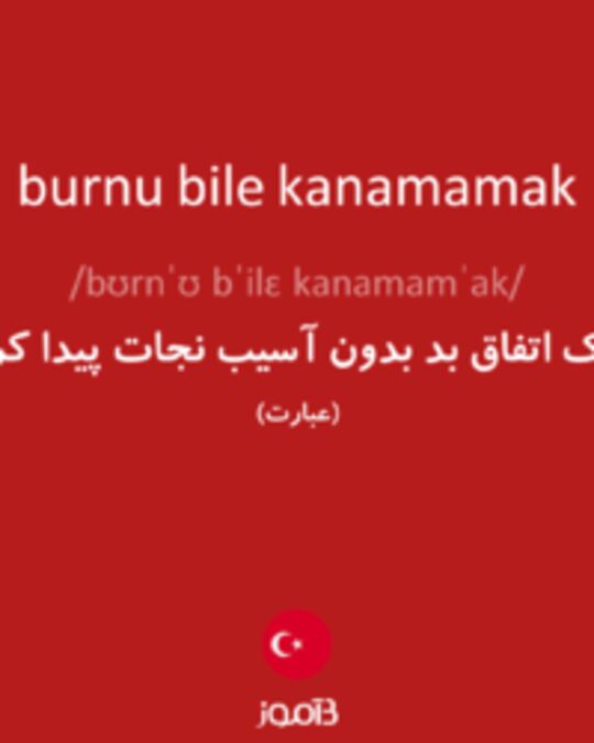  تصویر burnu bile kanamamak - دیکشنری انگلیسی بیاموز