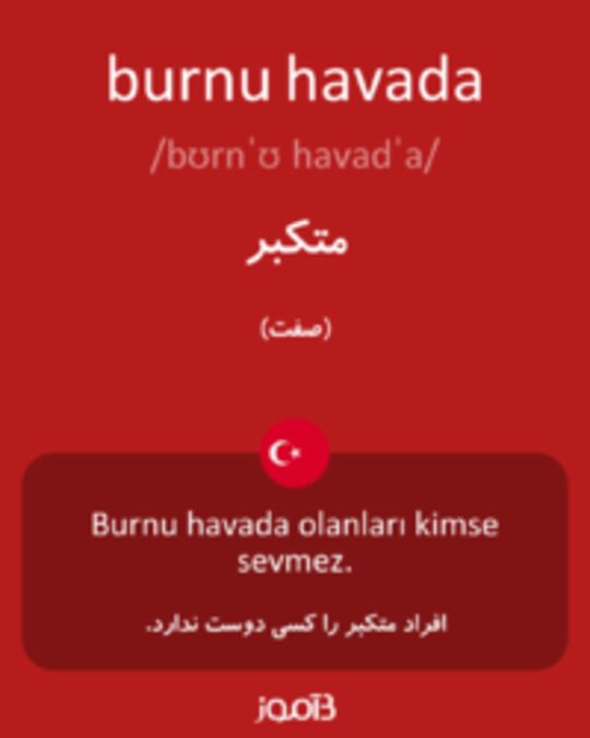  تصویر burnu havada - دیکشنری انگلیسی بیاموز