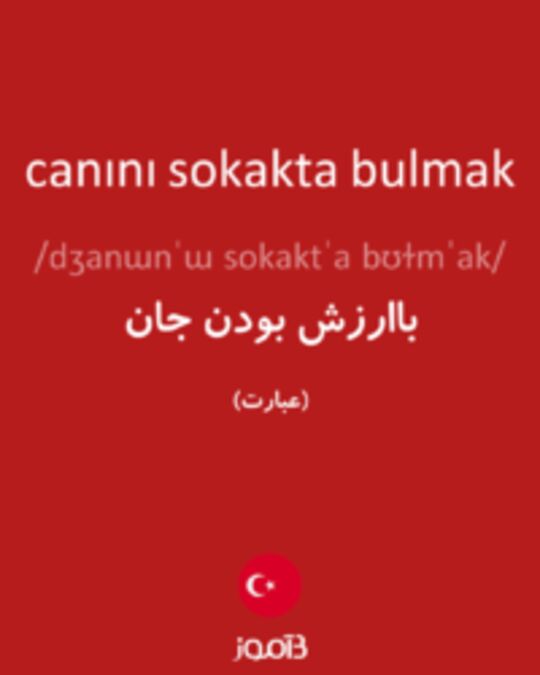  تصویر canını sokakta bulmak - دیکشنری انگلیسی بیاموز