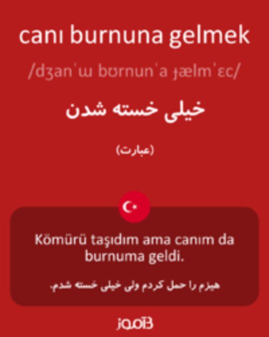  تصویر canı burnuna gelmek - دیکشنری انگلیسی بیاموز