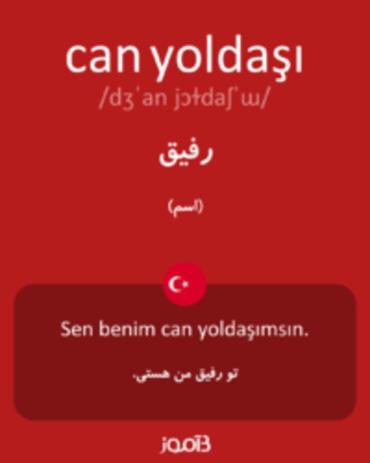  تصویر can yoldaşı - دیکشنری انگلیسی بیاموز