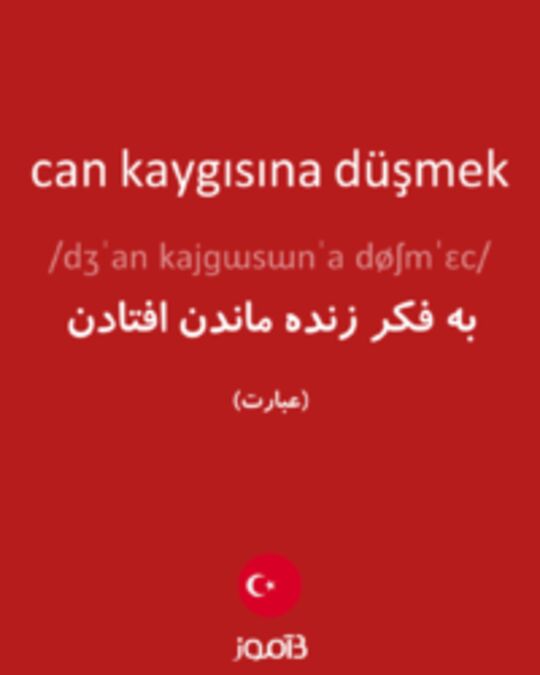  تصویر can kaygısına düşmek - دیکشنری انگلیسی بیاموز