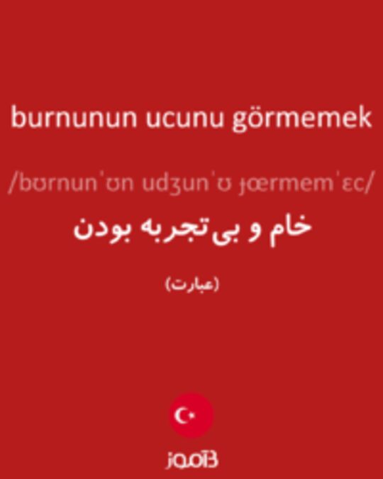  تصویر burnunun ucunu görmemek - دیکشنری انگلیسی بیاموز