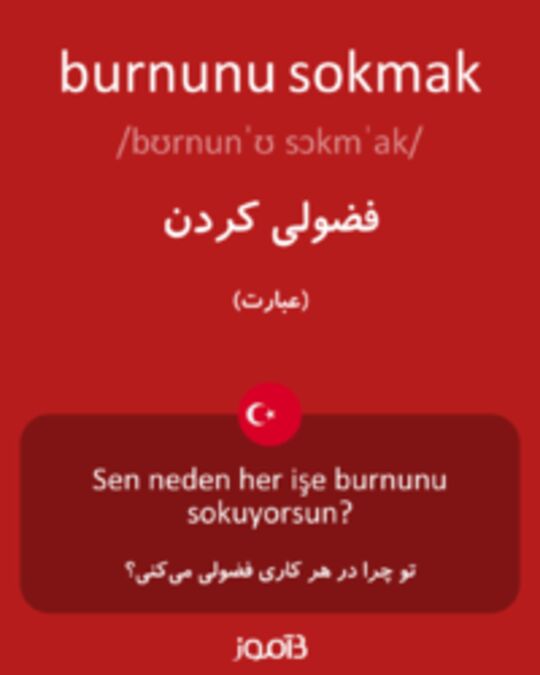  تصویر burnunu sokmak - دیکشنری انگلیسی بیاموز