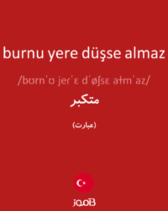  تصویر burnu yere düşse almaz - دیکشنری انگلیسی بیاموز