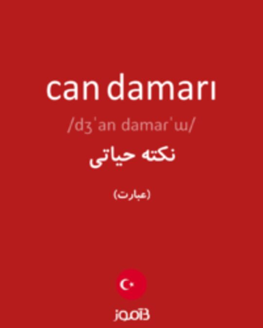  تصویر can damarı - دیکشنری انگلیسی بیاموز