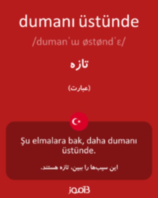  تصویر dumanı üstünde - دیکشنری انگلیسی بیاموز