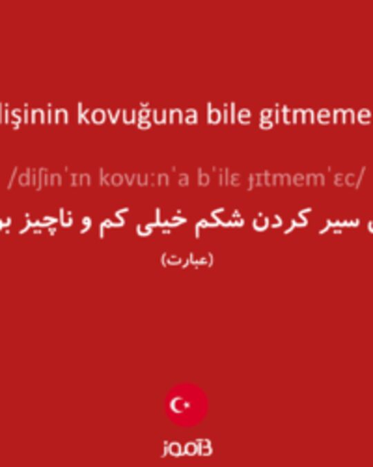  تصویر dişinin kovuğuna bile gitmemek - دیکشنری انگلیسی بیاموز