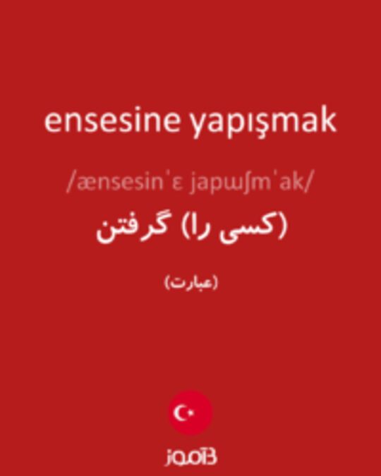  تصویر ensesine yapışmak - دیکشنری انگلیسی بیاموز