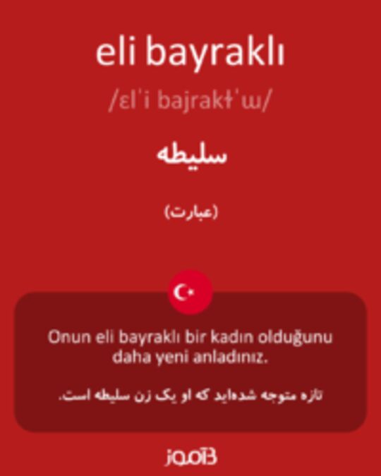  تصویر eli bayraklı - دیکشنری انگلیسی بیاموز