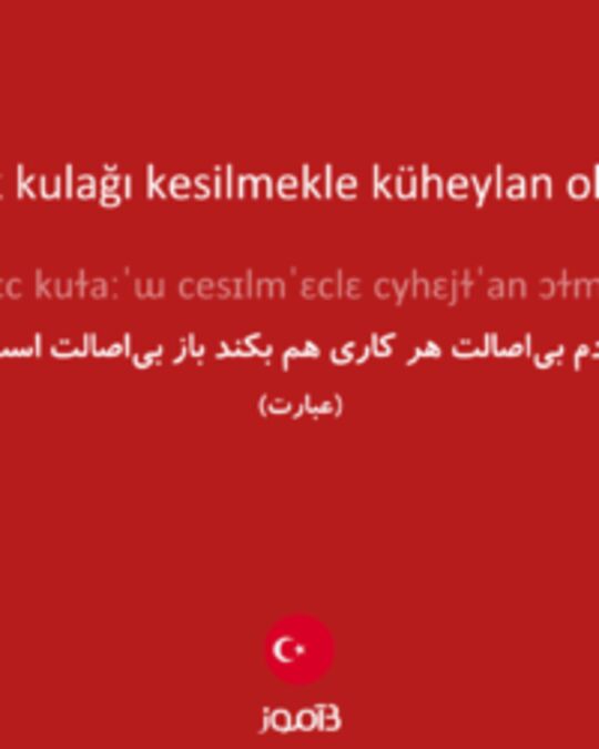  تصویر eşek kulağı kesilmekle küheylan olmaz - دیکشنری انگلیسی بیاموز