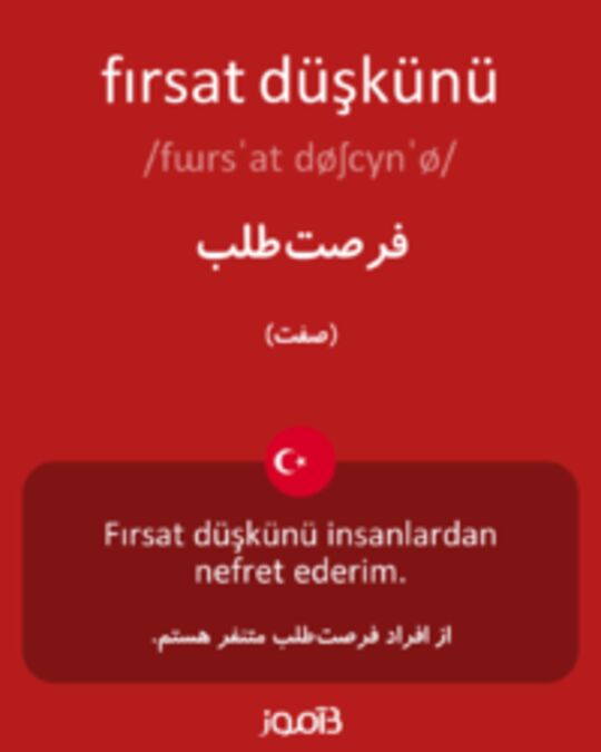  تصویر fırsat düşkünü - دیکشنری انگلیسی بیاموز