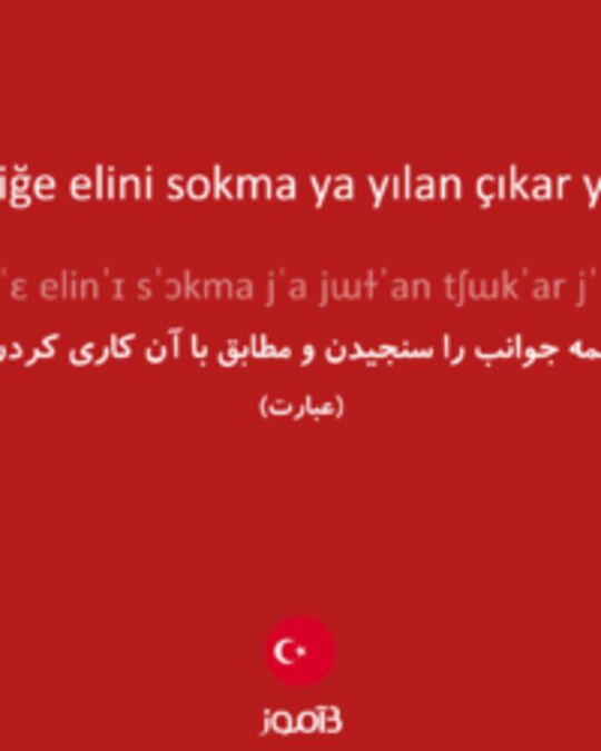  تصویر her deliğe elini sokma ya yılan çıkar ya çıyan - دیکشنری انگلیسی بیاموز