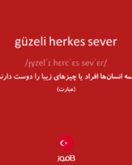  تصویر güzeli herkes sever - دیکشنری انگلیسی بیاموز