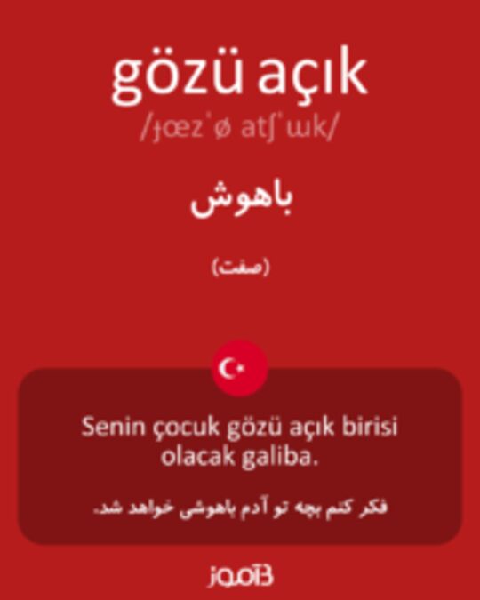  تصویر gözü açık - دیکشنری انگلیسی بیاموز