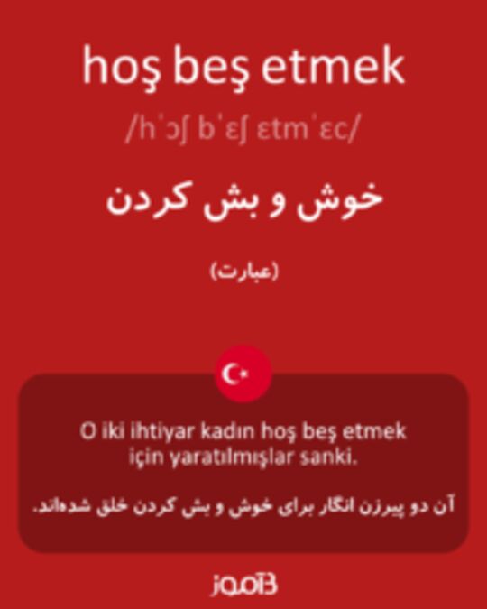  تصویر hoş beş etmek - دیکشنری انگلیسی بیاموز