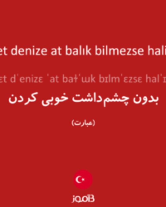  تصویر iyilik et denize at balık bilmezse halik bilir - دیکشنری انگلیسی بیاموز