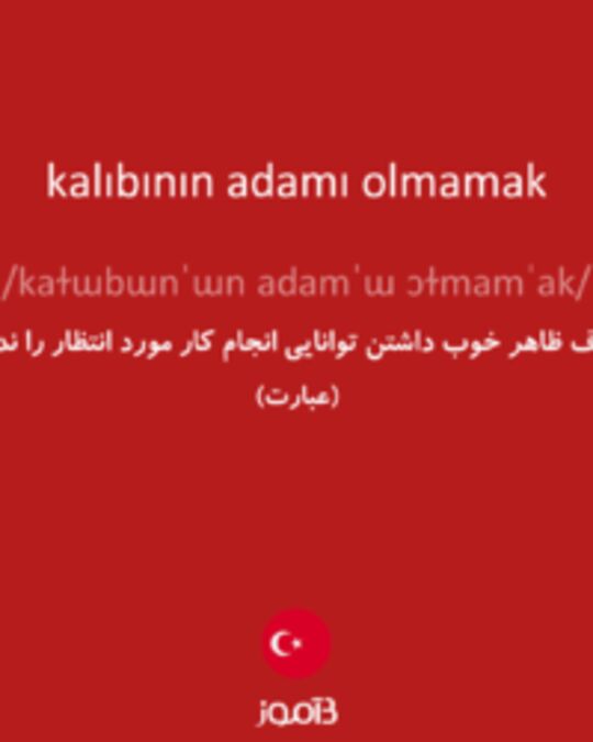  تصویر kalıbının adamı olmamak - دیکشنری انگلیسی بیاموز