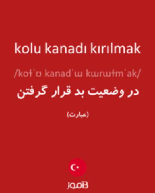  تصویر kolu kanadı kırılmak - دیکشنری انگلیسی بیاموز