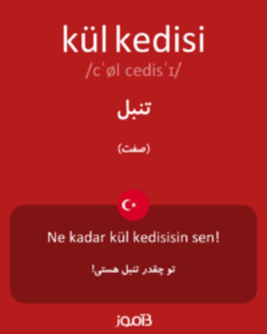  تصویر kül kedisi - دیکشنری انگلیسی بیاموز