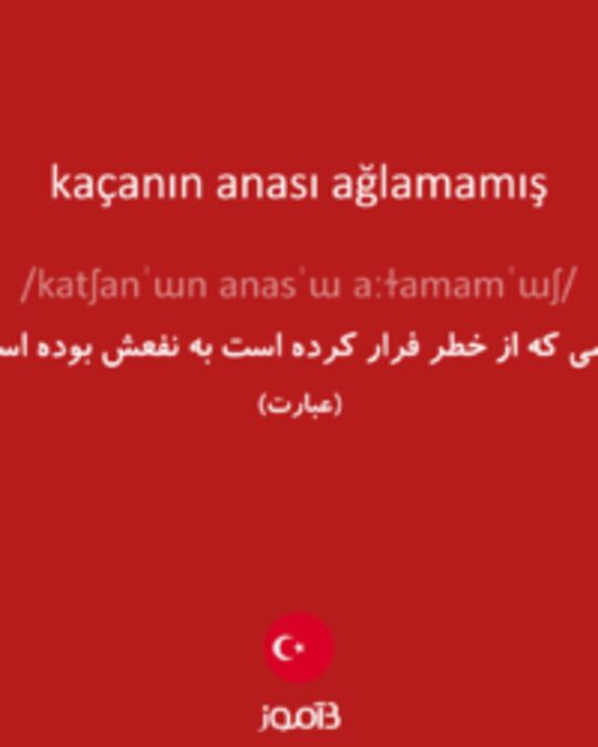  تصویر kaçanın anası ağlamamış - دیکشنری انگلیسی بیاموز