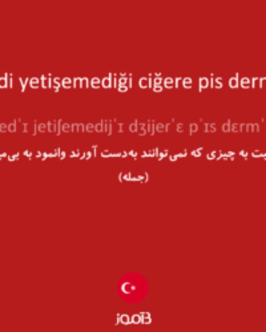  تصویر kedi yetişemediği ciğere pis dermiş - دیکشنری انگلیسی بیاموز