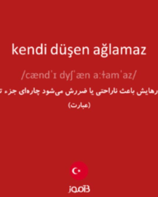  تصویر kendi düşen ağlamaz - دیکشنری انگلیسی بیاموز