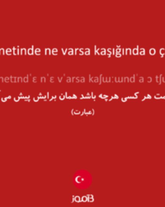  تصویر kısmetinde ne varsa kaşığında o çıkar - دیکشنری انگلیسی بیاموز