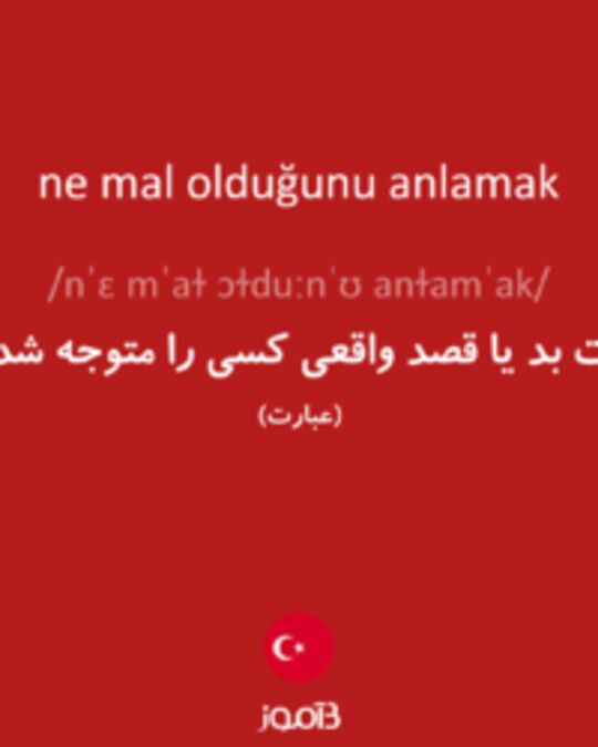  تصویر ne mal olduğunu anlamak - دیکشنری انگلیسی بیاموز