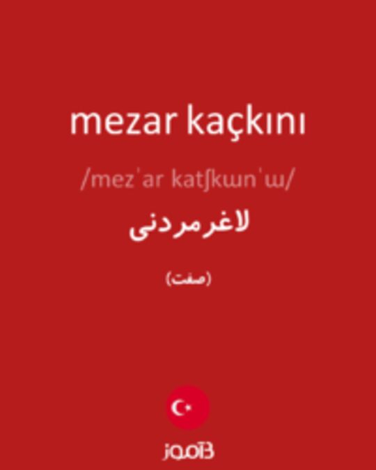  تصویر mezar kaçkını - دیکشنری انگلیسی بیاموز