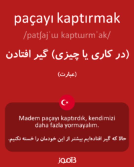  تصویر paçayı kaptırmak - دیکشنری انگلیسی بیاموز