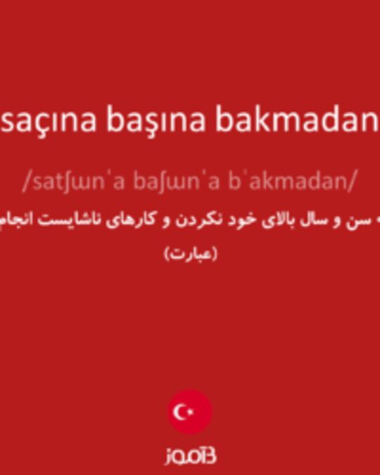  تصویر saçına başına bakmadan - دیکشنری انگلیسی بیاموز