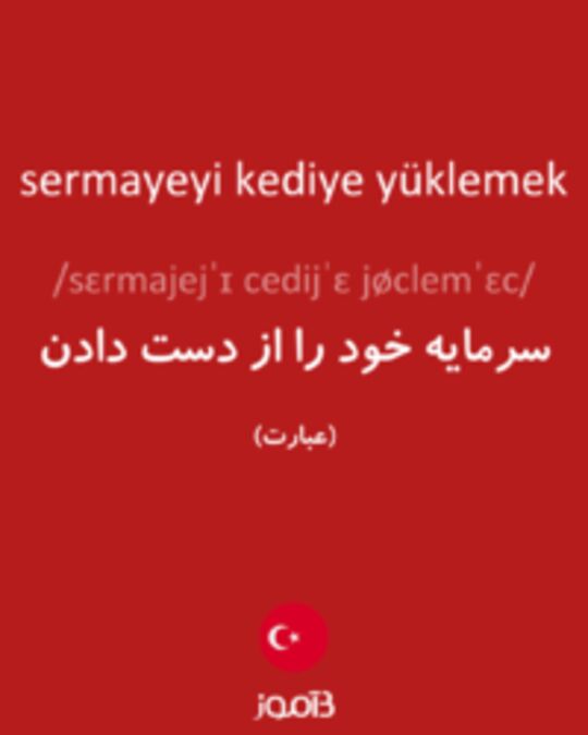  تصویر sermayeyi kediye yüklemek - دیکشنری انگلیسی بیاموز