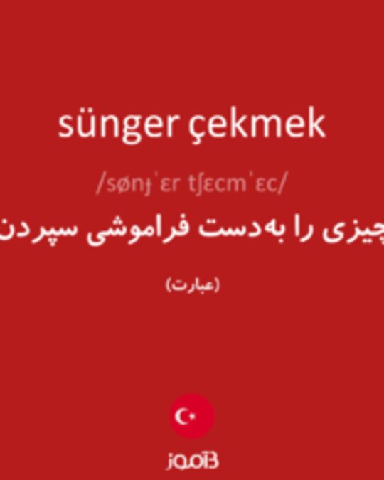  تصویر sünger çekmek - دیکشنری انگلیسی بیاموز